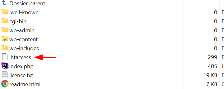 contenu du répertoire racine de WordPress sur un FTP avec le fichier htaccess mis en avant par une flèche